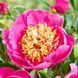Doreen Doreen фото 2